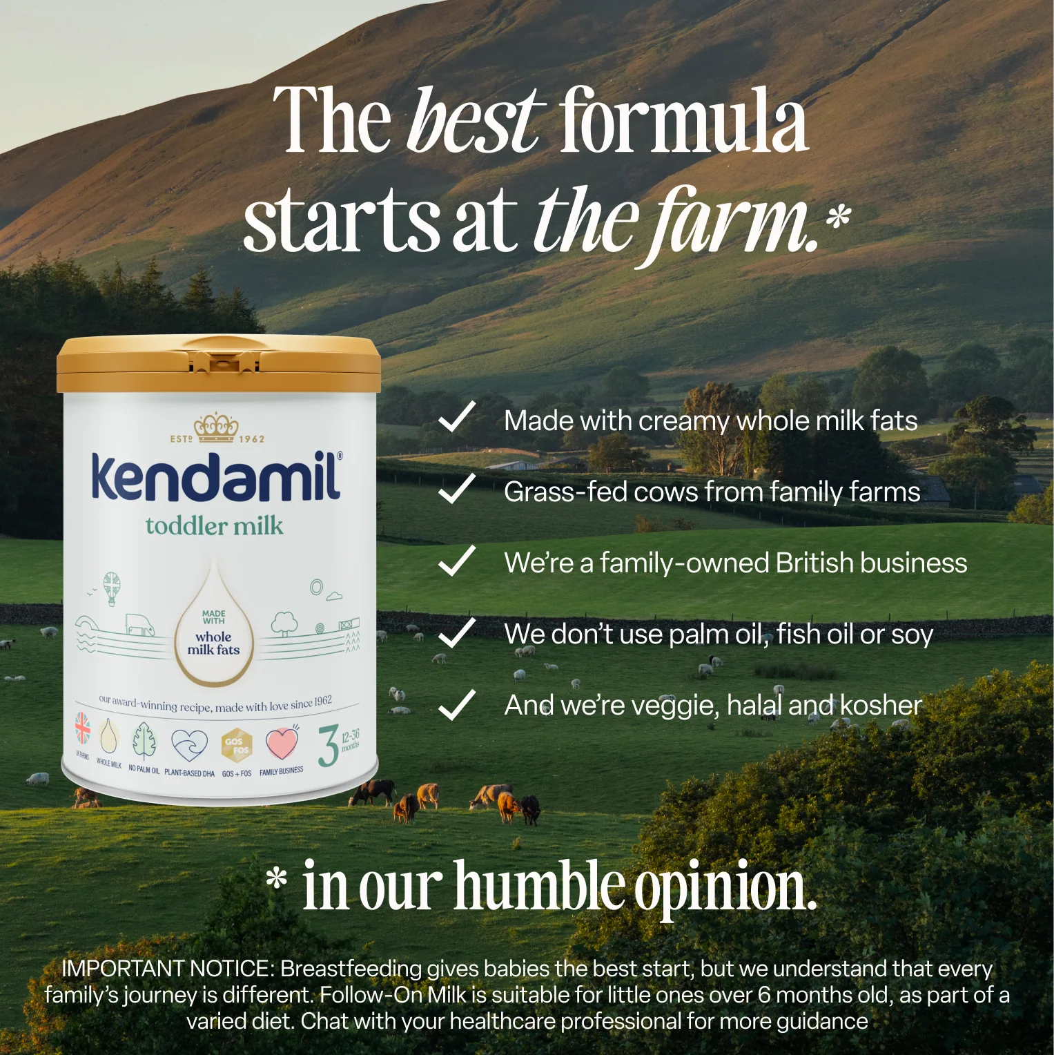 Classic Toddler Milk - Image 3