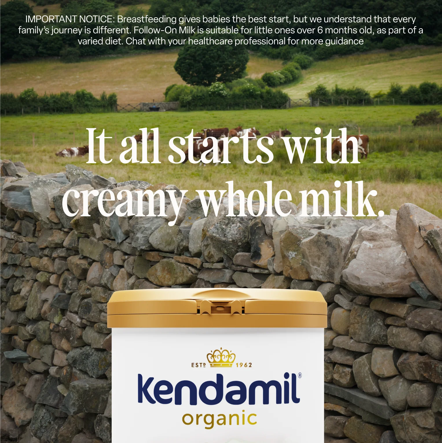 Organic First Infant Milk - Image 4